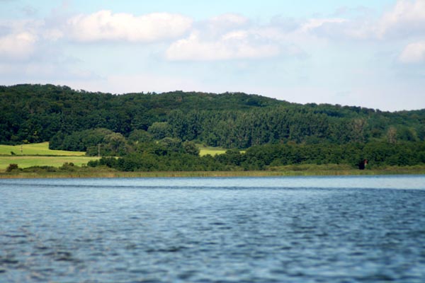 Killikus® Fotographie Killikus® Fotographie